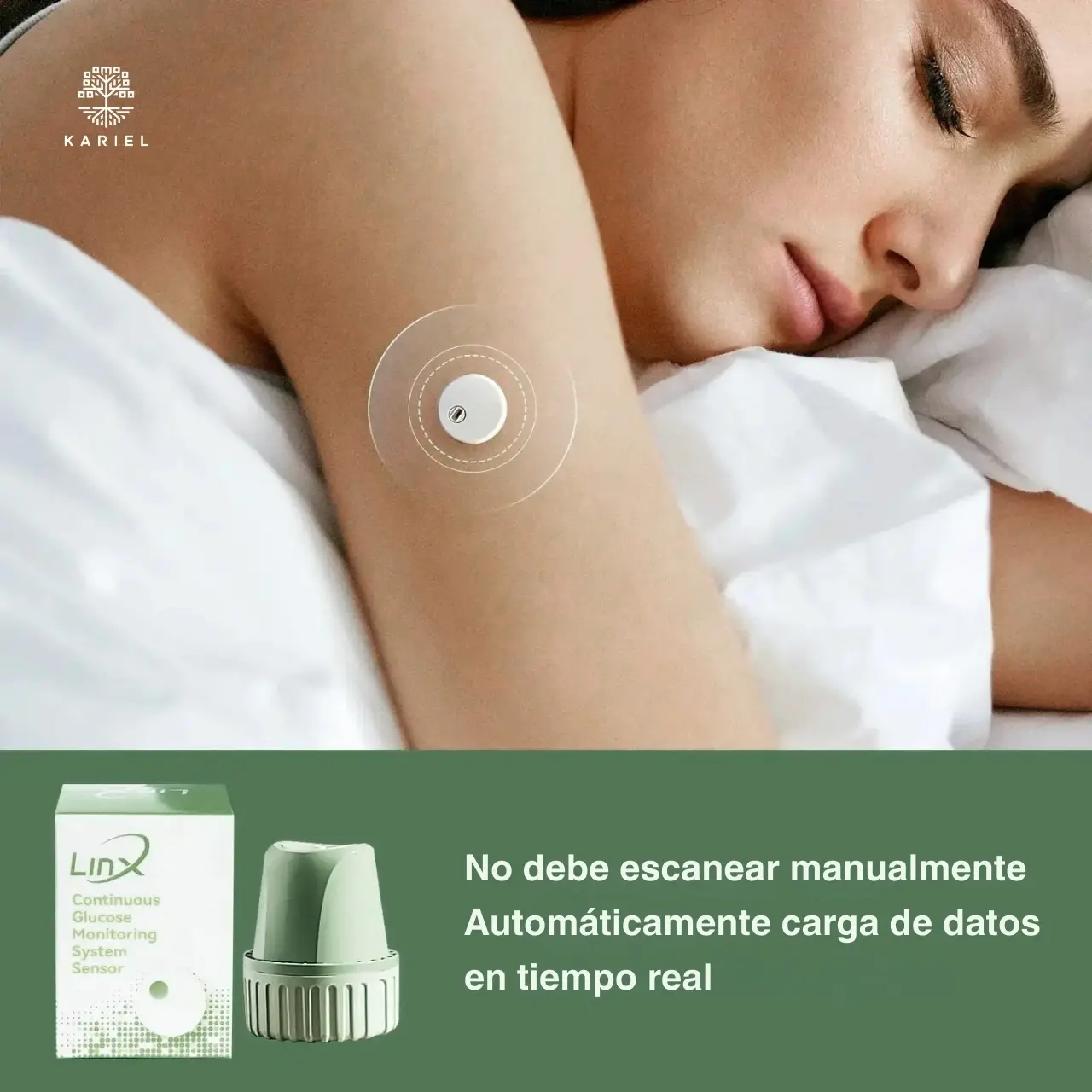 (Español) (4).webp