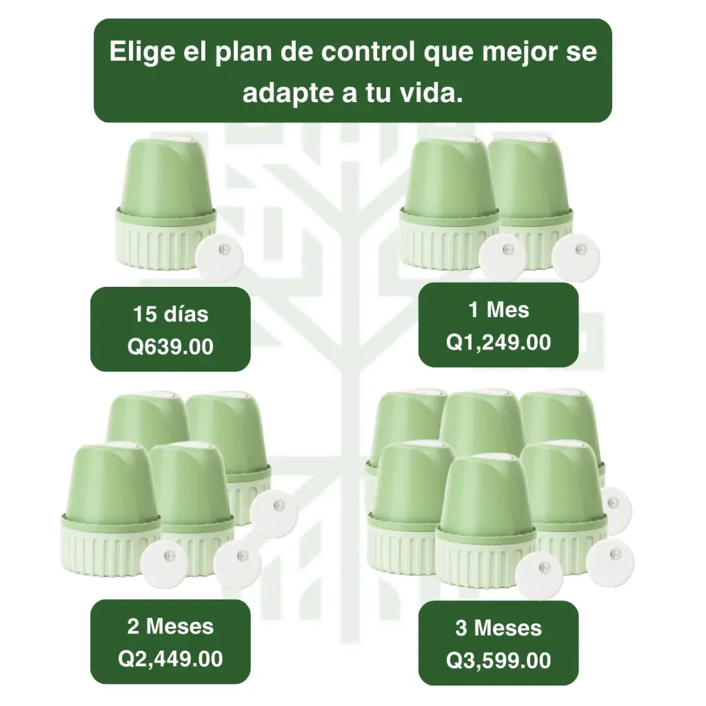 8.webp