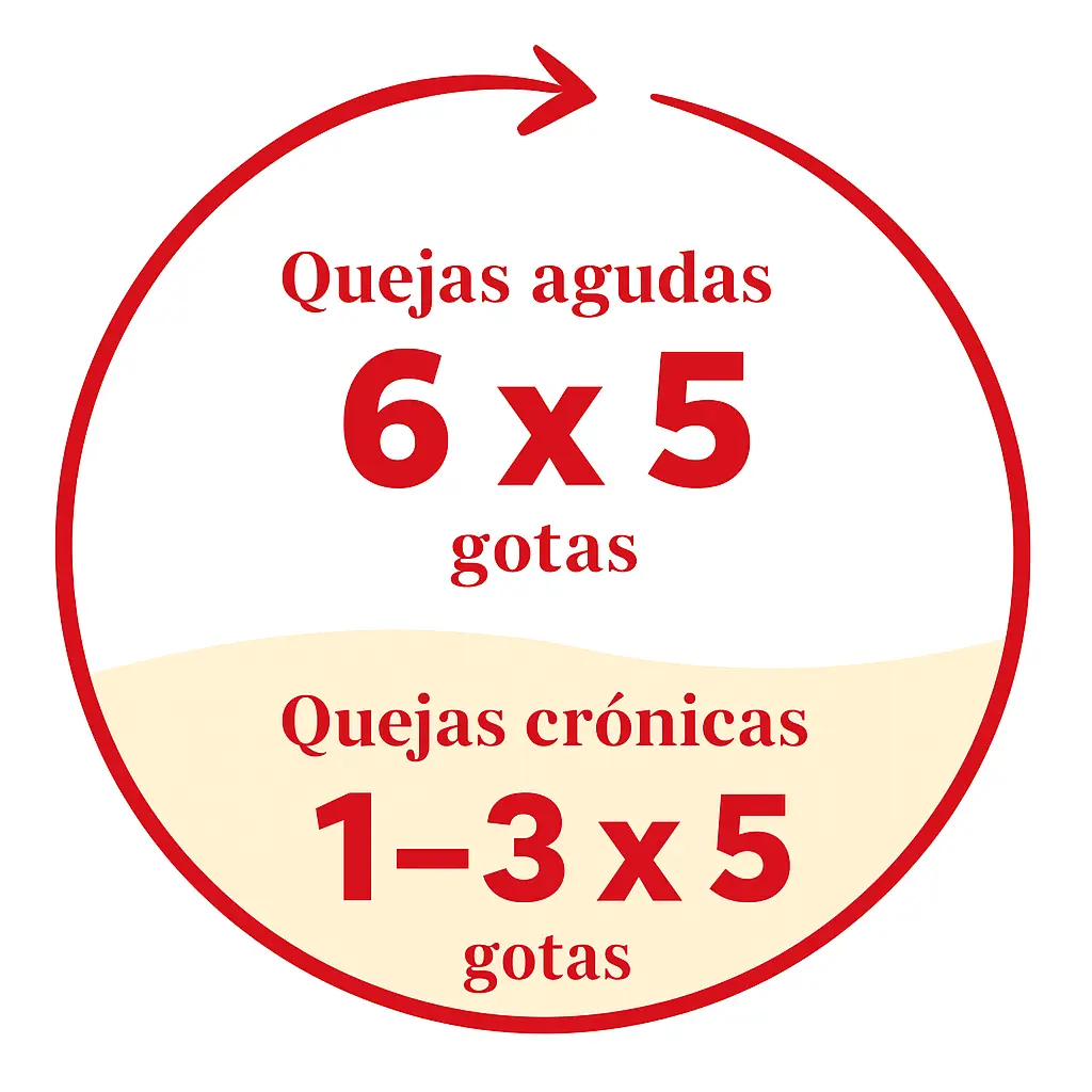 es_icon_anwendung.webp