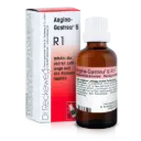 Angina-Gastreu R1 