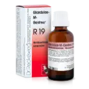 Glandulae-M-Gastreu R19 