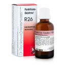 Funktions-Gastreu R26 