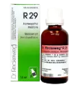 Theridion-Gastreu R29 