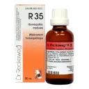 Dentin-Gastreu R35 
