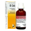 Chorea-Gastreu R36 