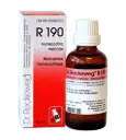 Pyrosis-Gastreu R190 