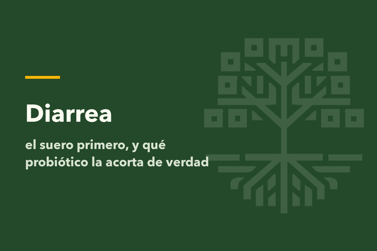 Diarrea: el suero primero, y qué probiótico la acorta de verdad