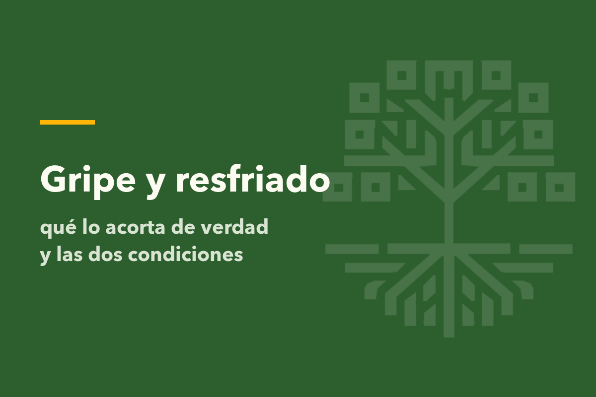 Gripe y resfriado: qué lo acorta de verdad (y las dos condiciones que nadie cumple)
