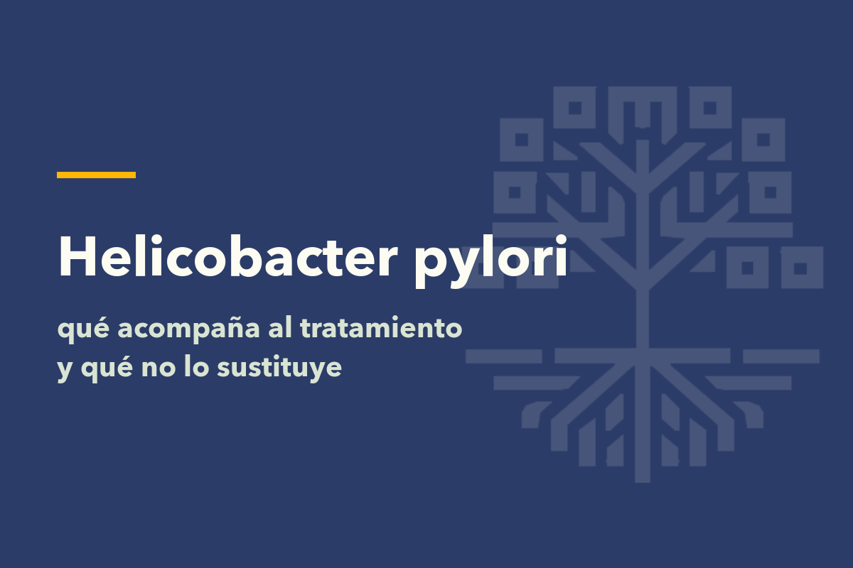 Helicobacter pylori: qué acompaña al tratamiento y qué no lo sustituye