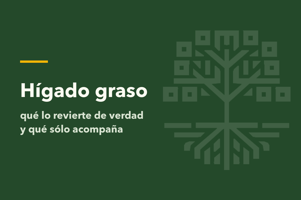 Hígado graso: qué es, qué lo revierte y qué solo acompaña