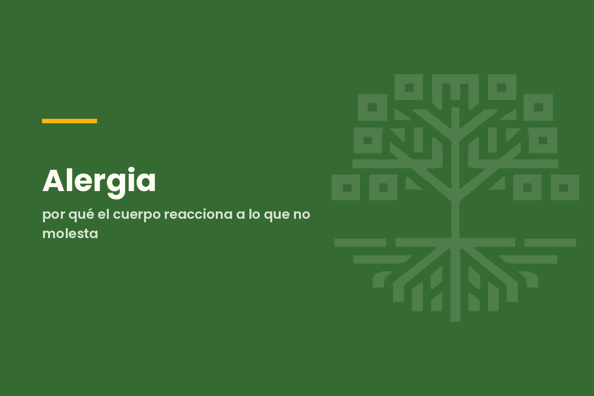 Alergia: por qué el cuerpo reacciona a lo que no molesta