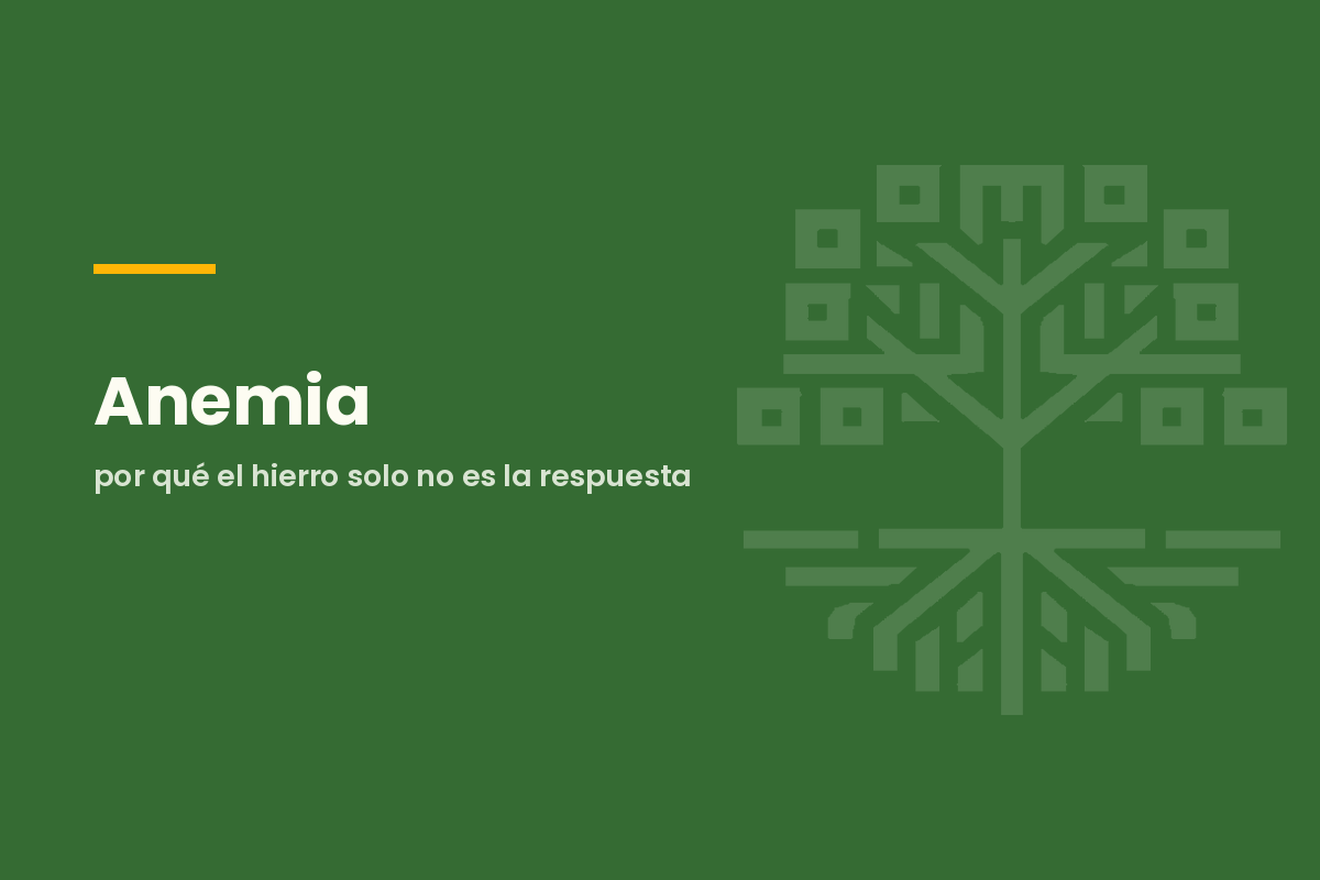 Anemia: por qué el hierro solo no es la respuesta