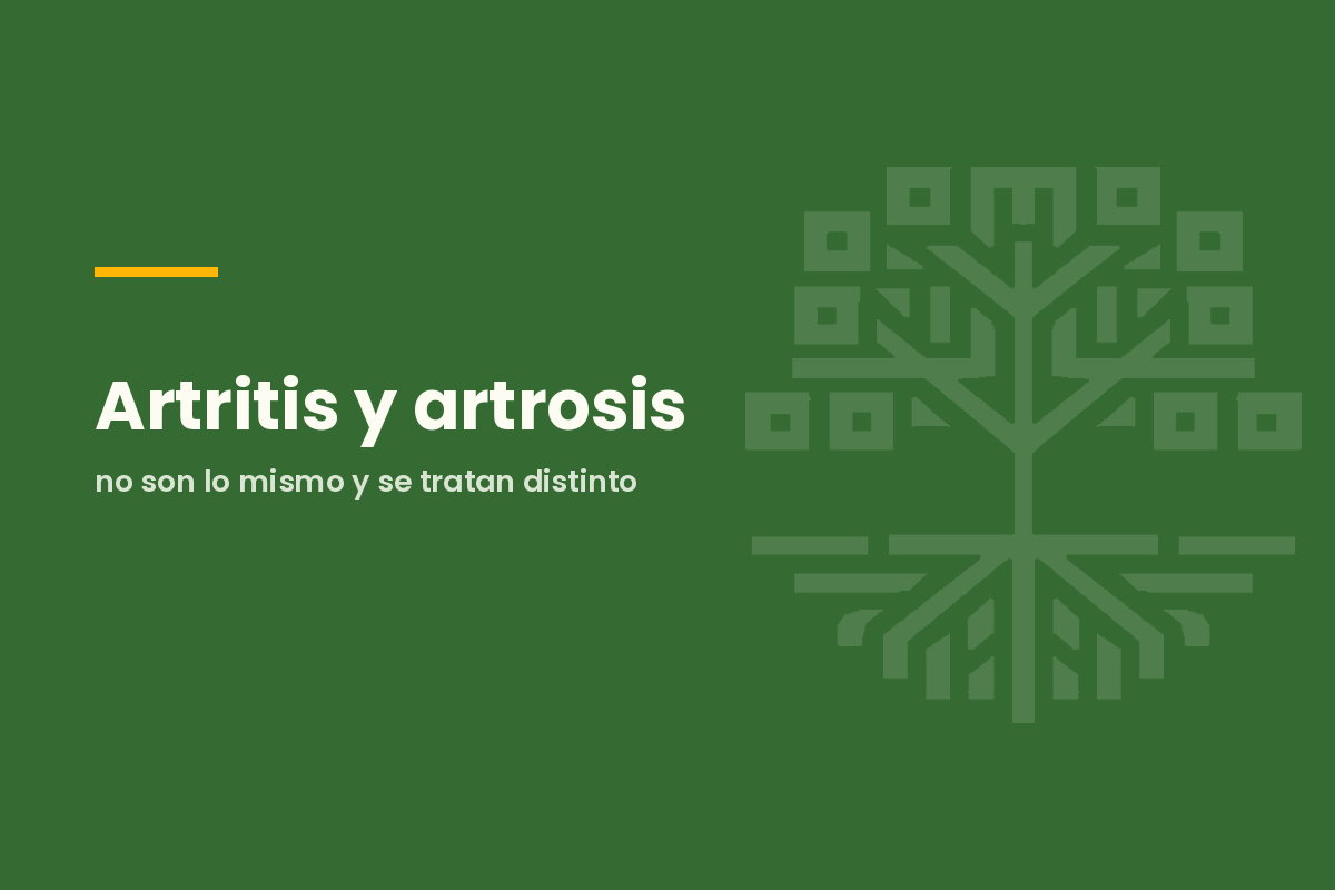 Artritis y artrosis: no son lo mismo y se tratan distinto