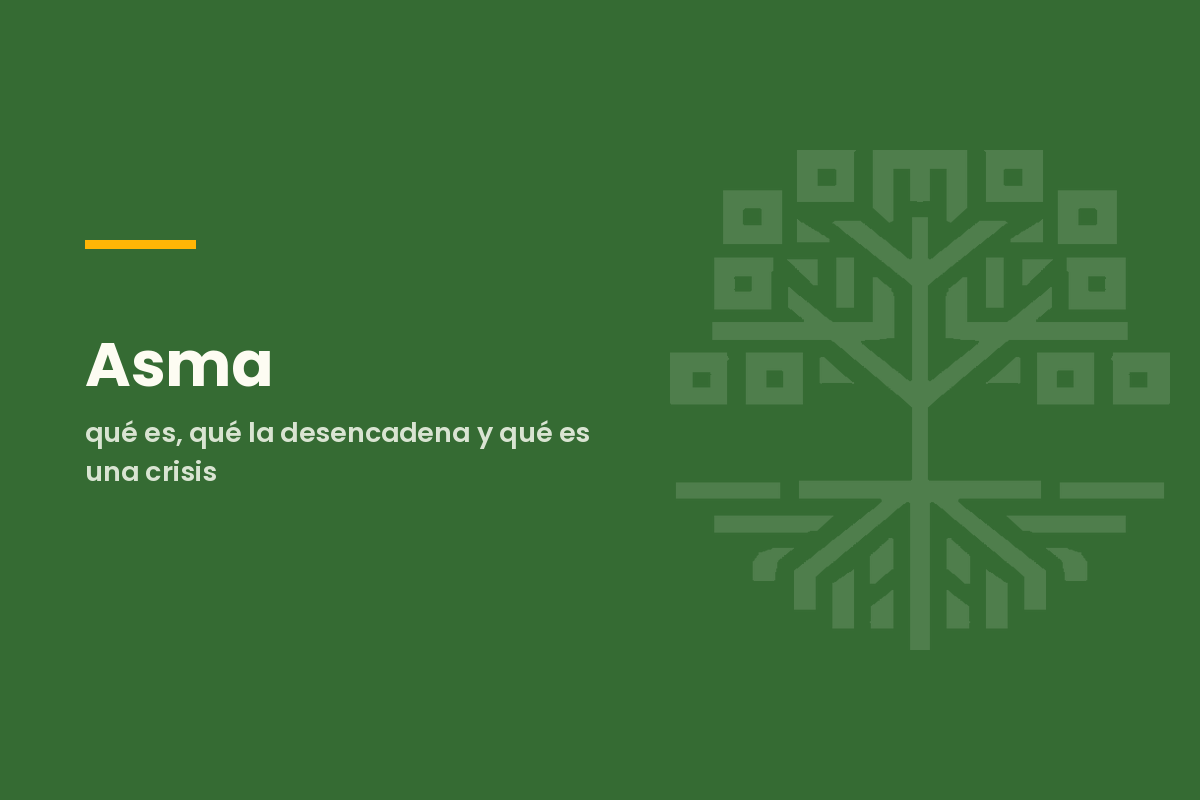 Asma: qué es, qué la desencadena y qué es una crisis