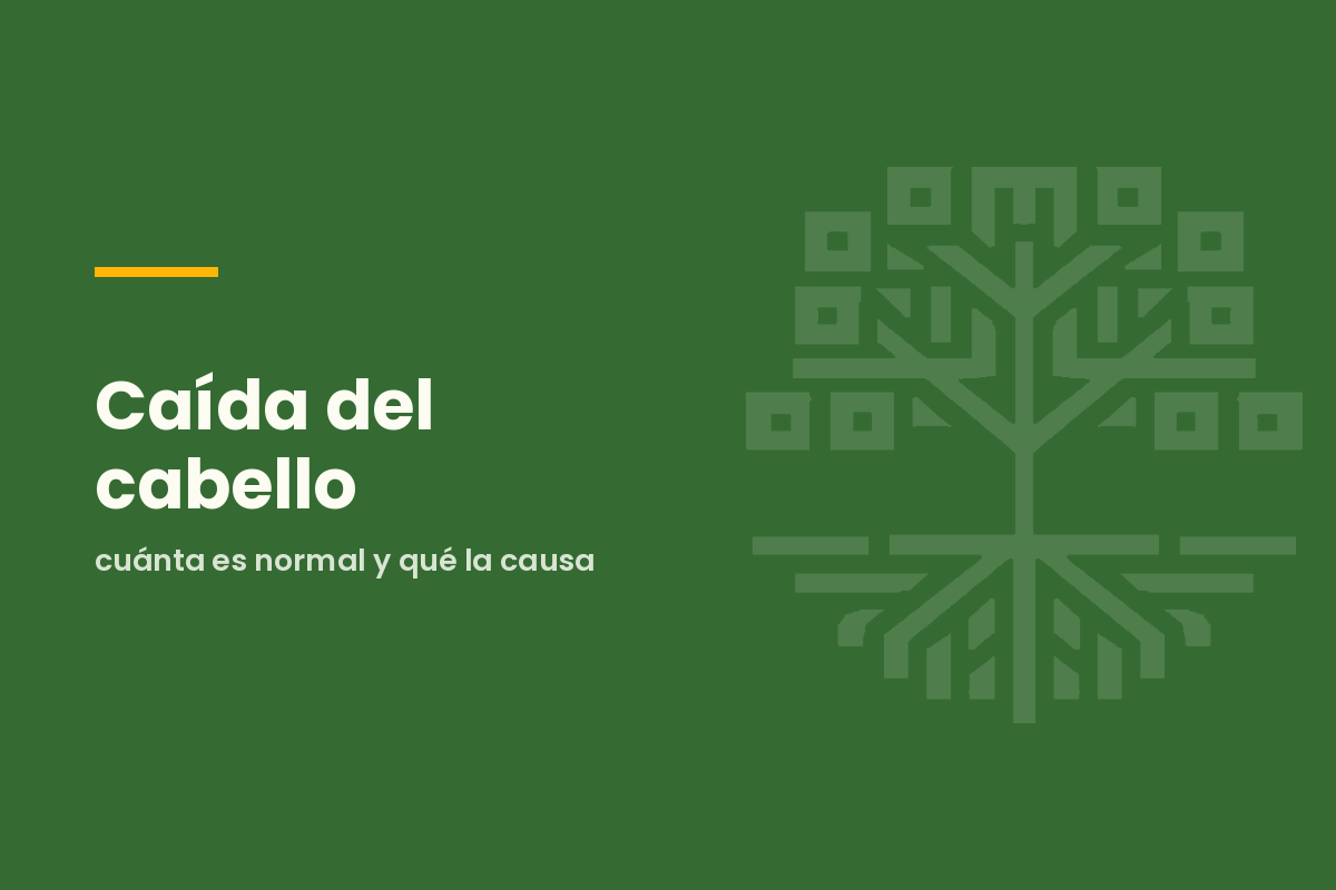 Caída del cabello: cuánta es normal y qué la causa