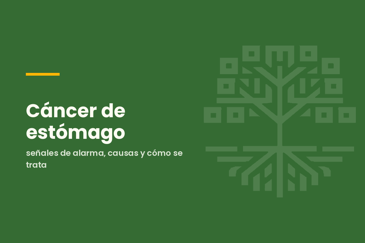 Cáncer de estómago: señales de alarma, causas y cómo se trata