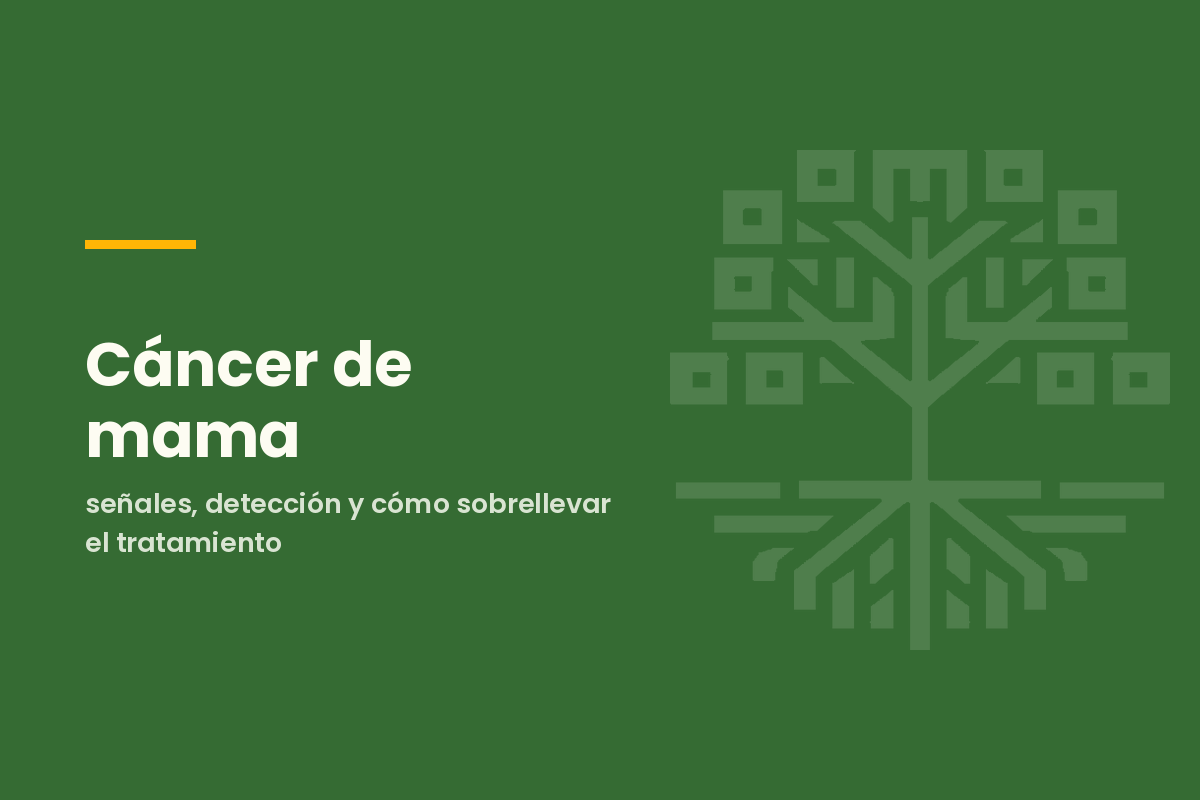 Cáncer de mama: señales, detección y cómo sobrellevar el tratamiento