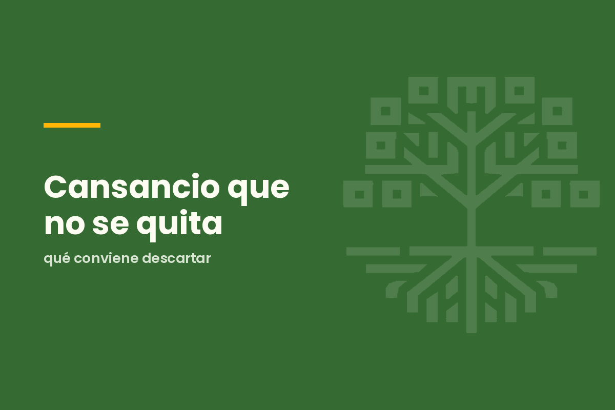 Cansancio que no se quita: qué conviene descartar