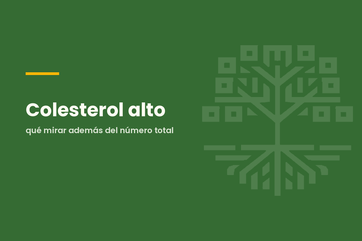 Colesterol alto: qué mirar además del número total