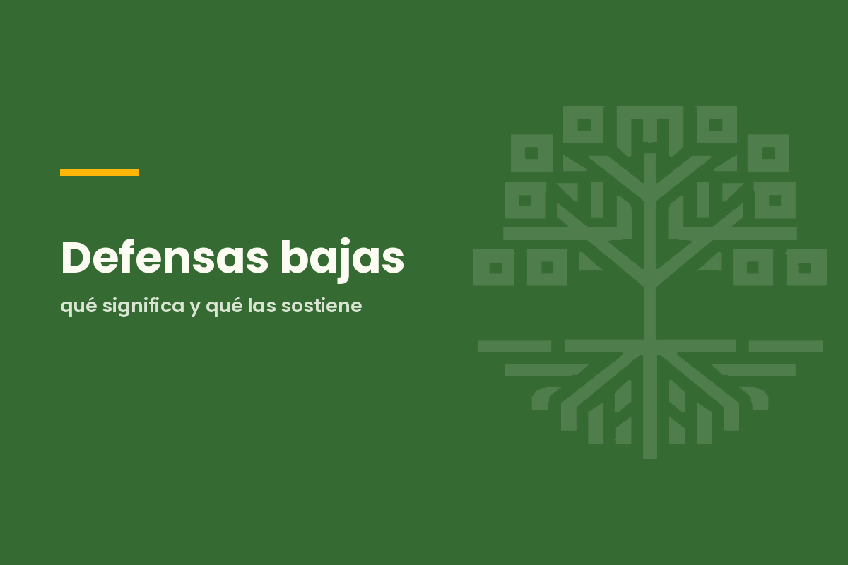 Defensas bajas: qué significa y qué las sostiene