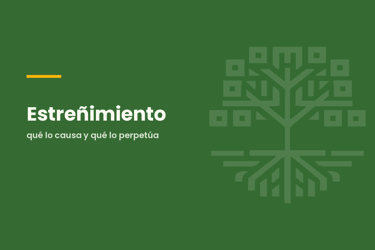 Estreñimiento: qué lo causa y qué lo perpetúa