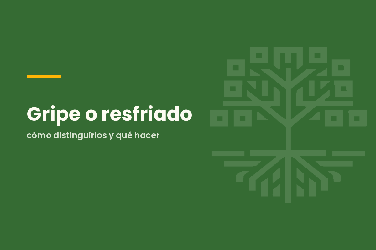 Gripe o resfriado: cómo distinguirlos y qué hacer