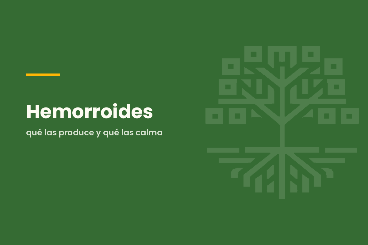 Hemorroides: qué las produce y qué las calma
