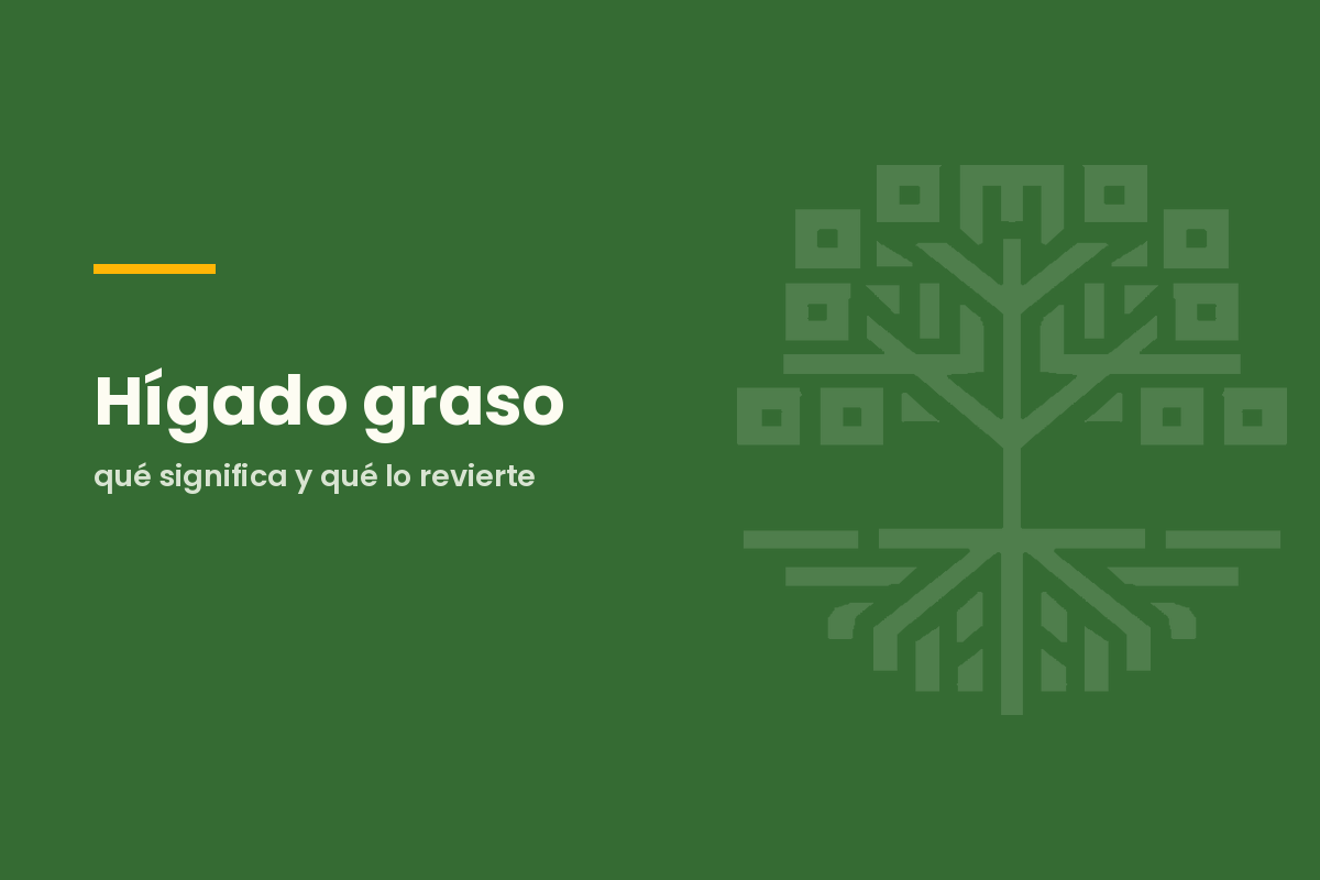 Hígado graso: qué significa y qué lo revierte