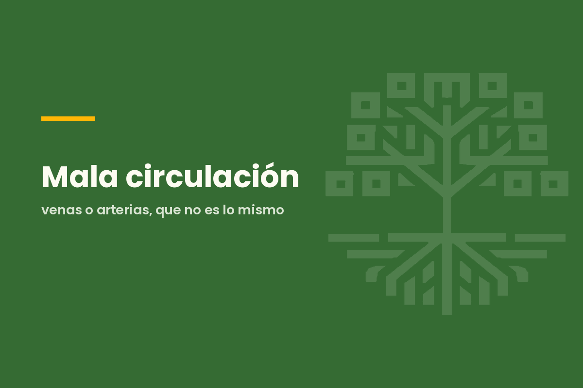 Mala circulación: venas o arterias, que no es lo mismo