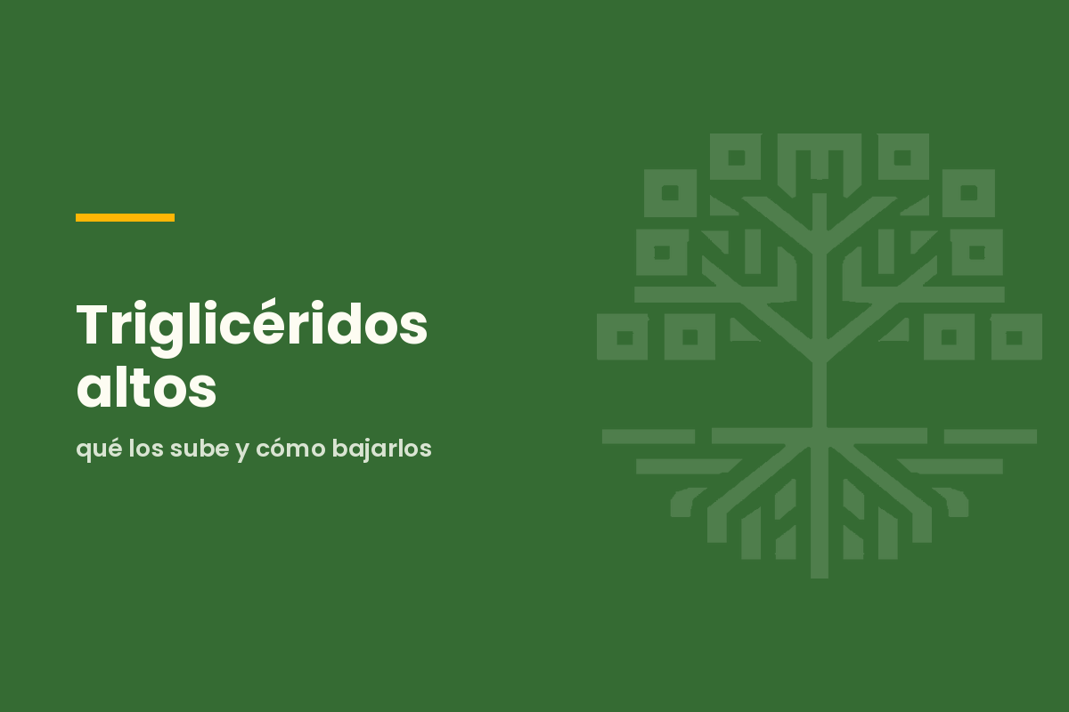 Triglicéridos altos: qué los sube y cómo bajarlos